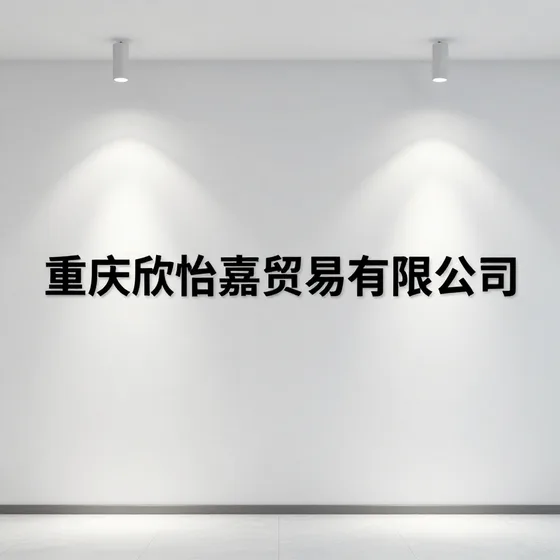 怎么选？专业推荐